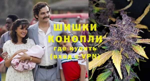 гидра Верея