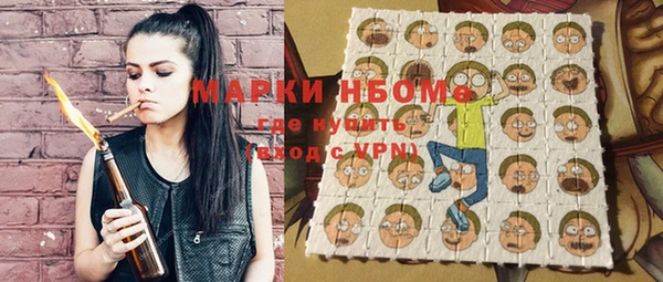 молекула духа Волоколамск