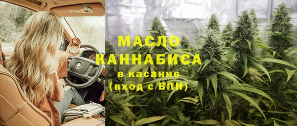 гидра Верея