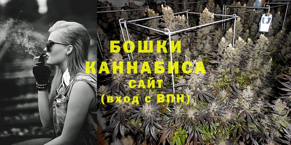 гидра Верея