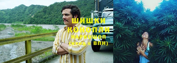 гидра Верхний Тагил