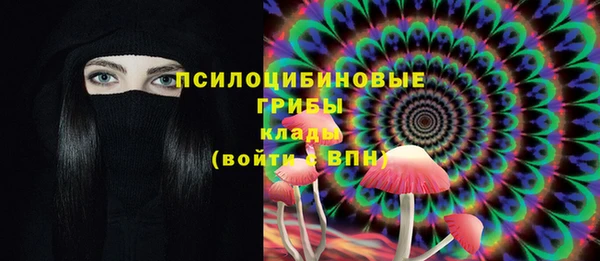 гидра Верхний Тагил