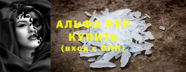 гидра Верхний Тагил