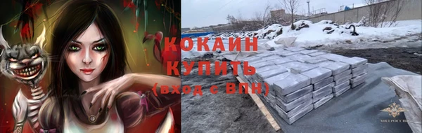 гидра Верхний Тагил