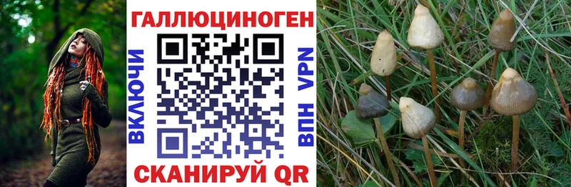 Псилоцибиновые грибы Magic Shrooms Купить где Горячий Ключ